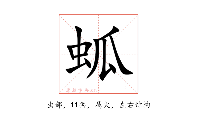 蛌