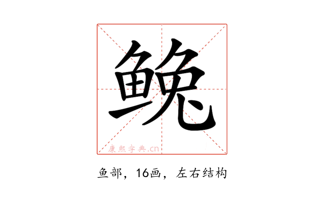 𩾅