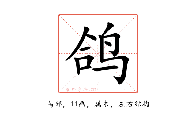 鸽
