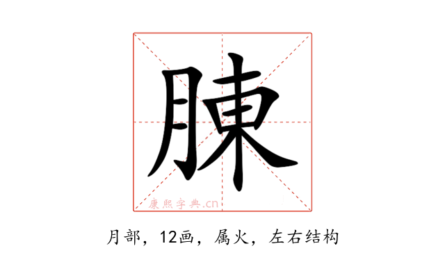 腖