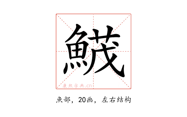 𩹛