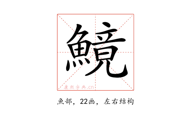 𩺿