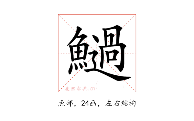 𩼣