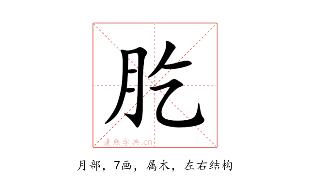 肐