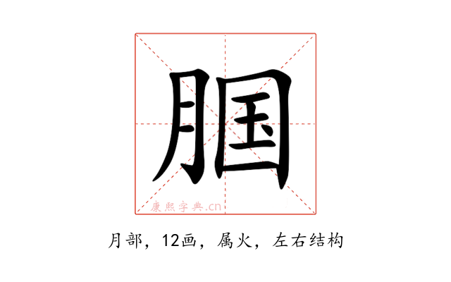 腘