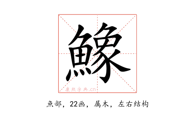 鱌