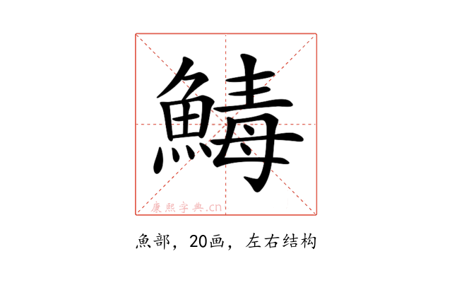 𩹝