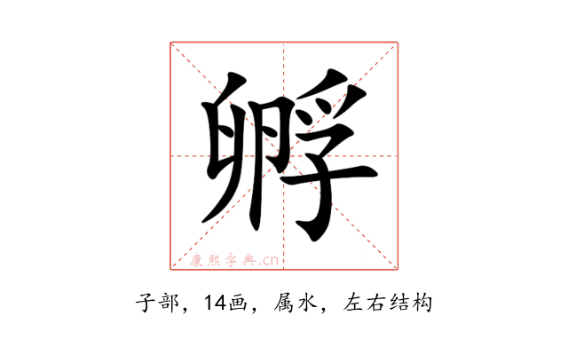 孵