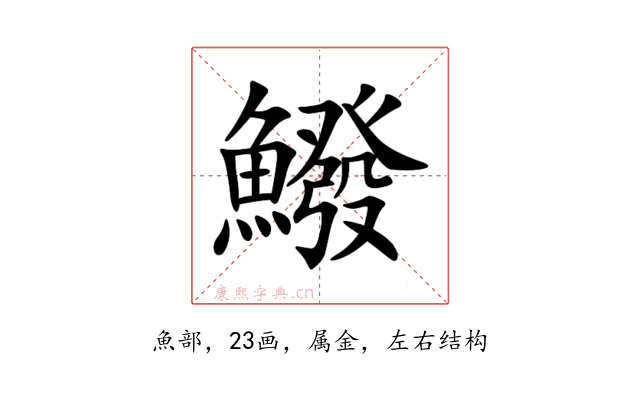 鱍