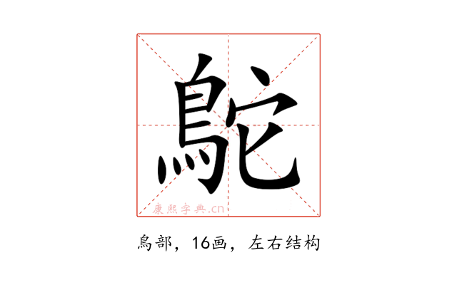鴕