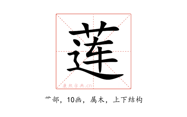 莲