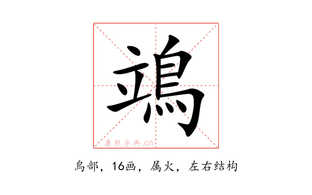 鴗
