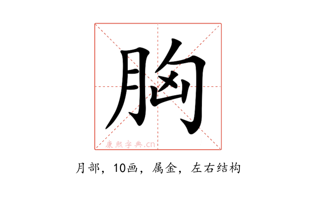 胸