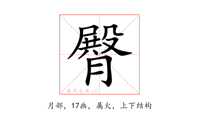 臀