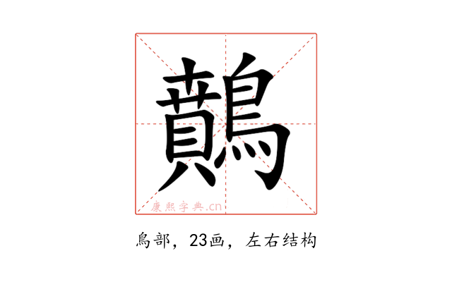 䴅