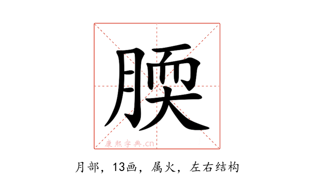 腝