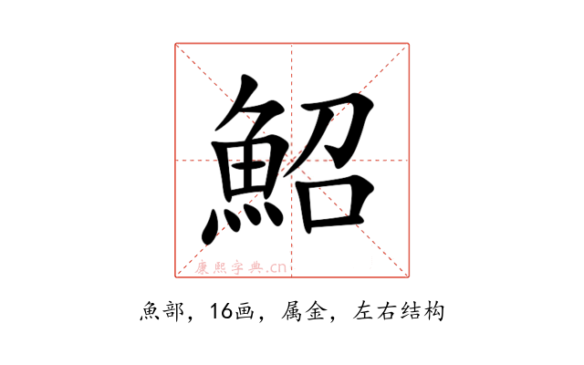 鮉