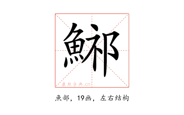 𩷾