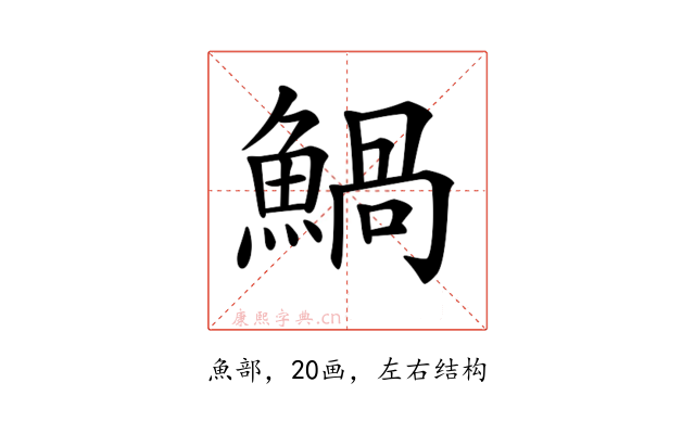 𩹢