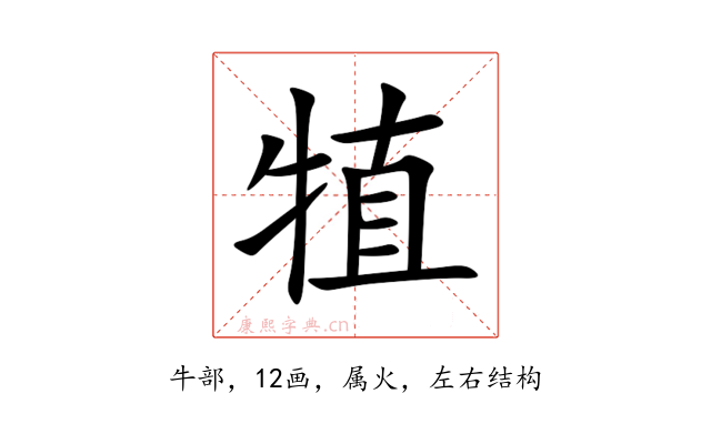 犆