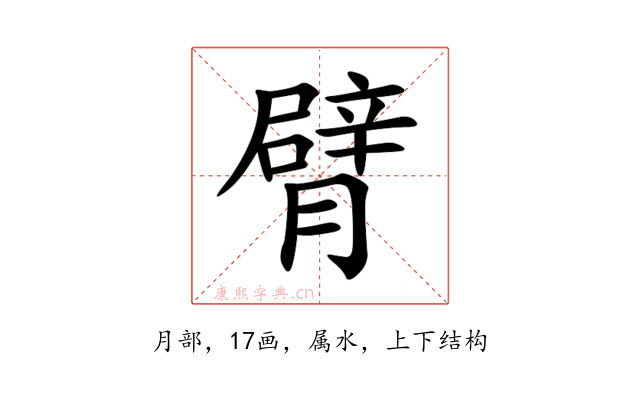 臂