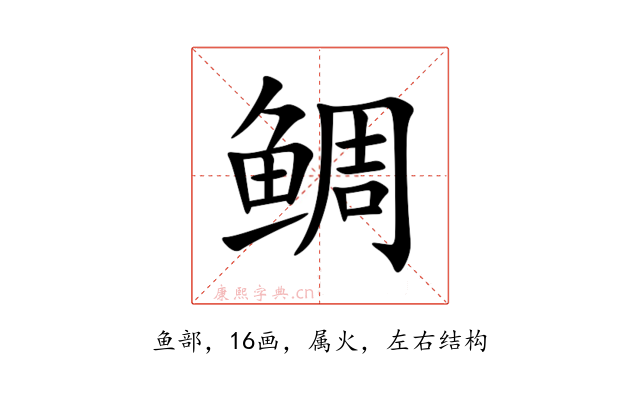 鲷