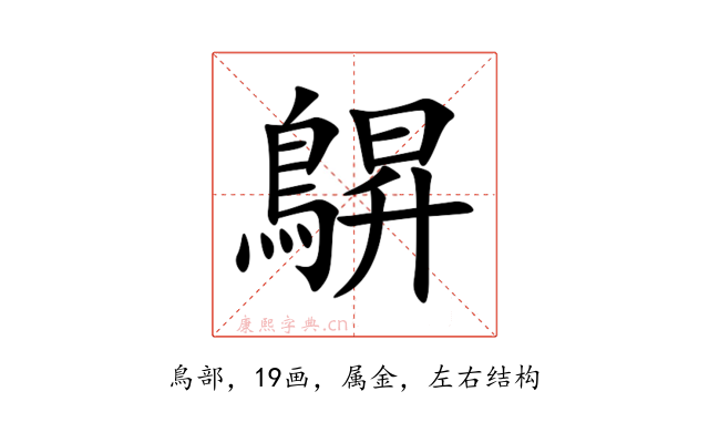 鵿