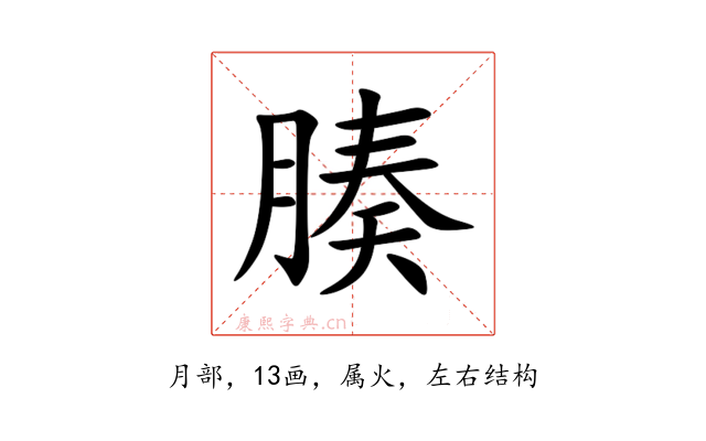 腠