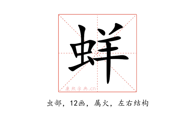 蛘