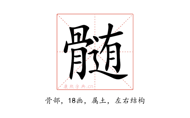 髄