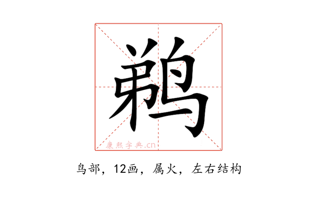 鹈