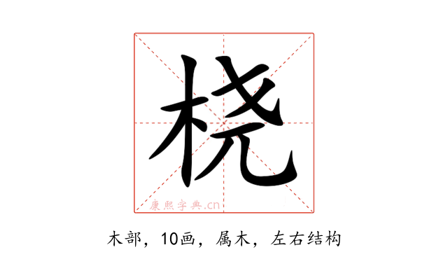 桡