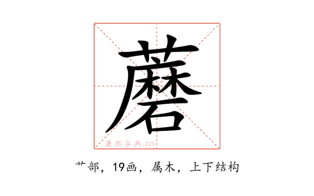 蘑