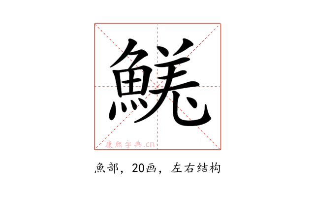 𩹦