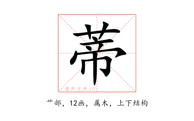 蒂