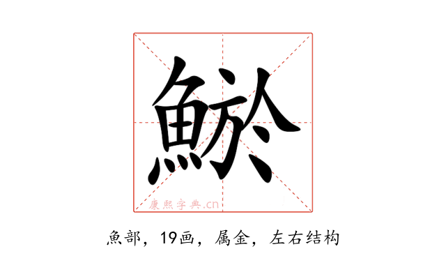 鯲