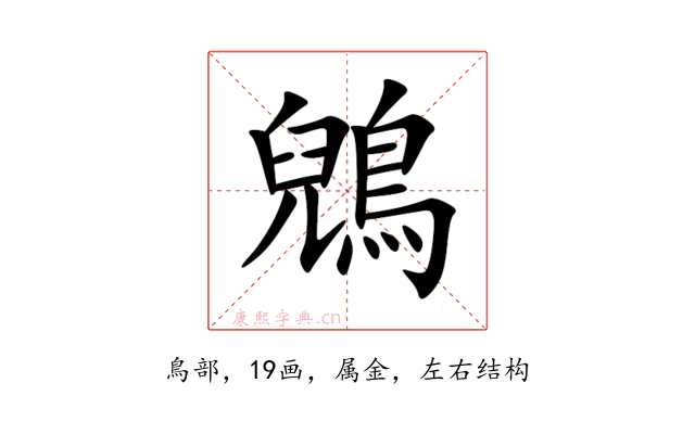 鶂
