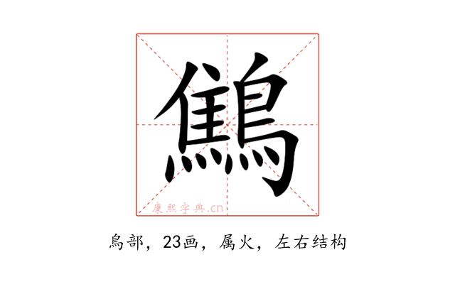 鷦
