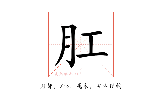 肛