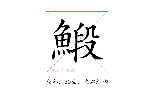 𩹨