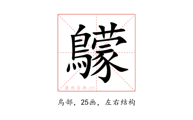 䴌