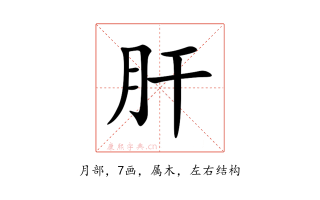 肝