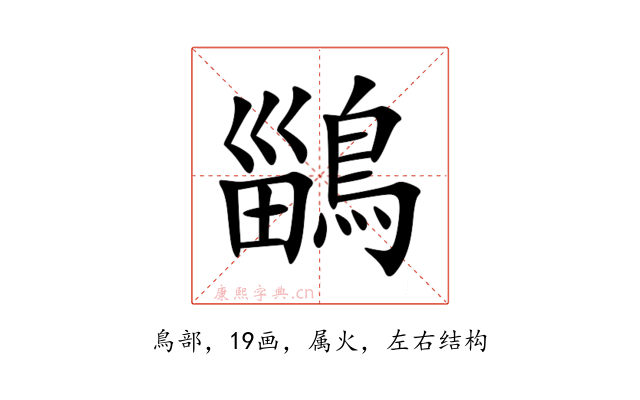 鶅