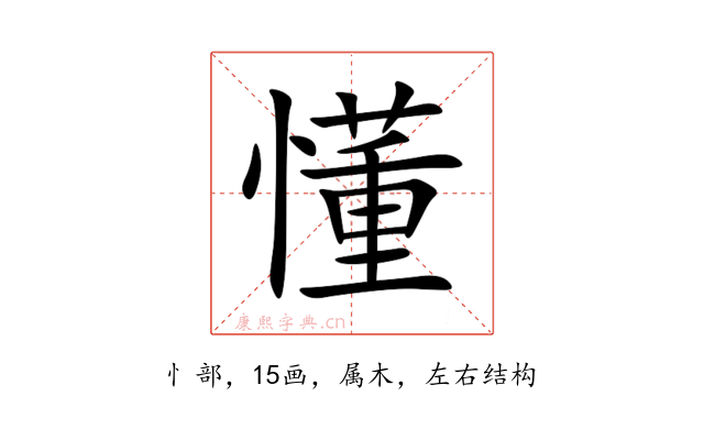 懂