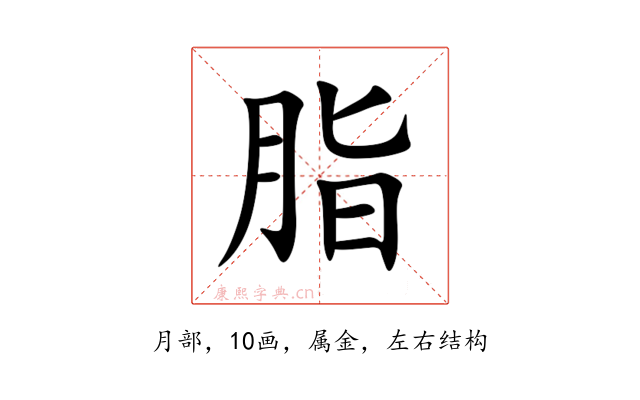 脂