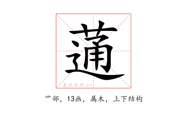 蓪