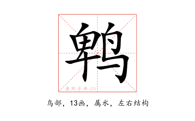 鹎