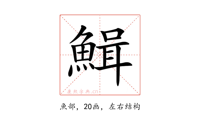 𩹫