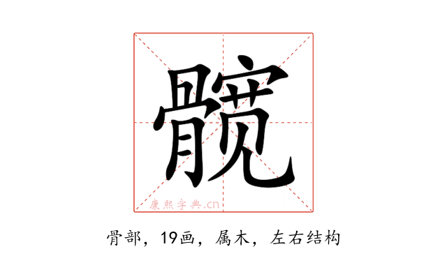 髋