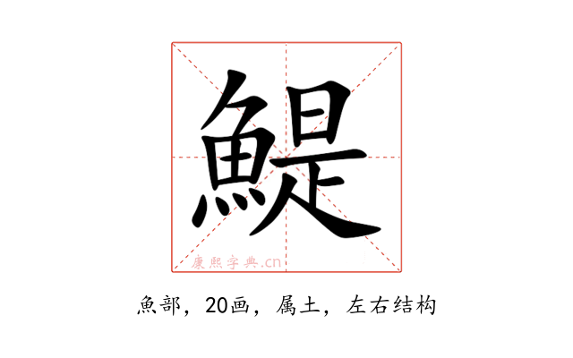 鯷